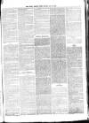 South London Press Saturday 14 April 1877 Page 3