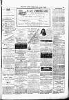 South London Press Saturday 12 January 1878 Page 20