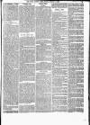 South London Press Saturday 02 February 1878 Page 21