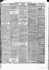 South London Press Saturday 02 March 1878 Page 21