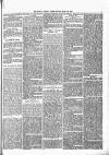 South London Press Saturday 23 March 1878 Page 5