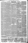 South London Press Saturday 27 April 1878 Page 3