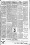 South London Press Saturday 27 April 1878 Page 13