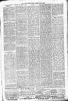 South London Press Saturday 29 June 1878 Page 3