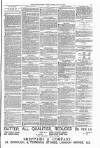 South London Press Saturday 19 April 1879 Page 13