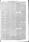 South London Press Saturday 03 January 1880 Page 13