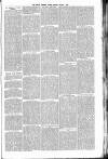 South London Press Saturday 01 January 1881 Page 5