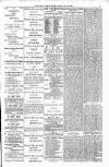 South London Press Saturday 29 June 1889 Page 9