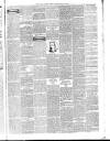 South London Press Saturday 21 January 1905 Page 4