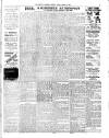 South London Press Friday 01 January 1909 Page 6