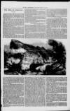 Alnwick Mercury Thursday 01 February 1855 Page 11