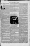 Alnwick Mercury Wednesday 01 August 1855 Page 7