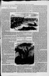 Alnwick Mercury Monday 01 October 1855 Page 3