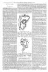 Alnwick Mercury Monday 02 February 1857 Page 3