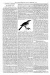 Alnwick Mercury Monday 02 February 1857 Page 5