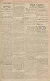 Bath Chronicle and Weekly Gazette Saturday 14 April 1923 Page 23