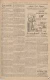 Bath Chronicle and Weekly Gazette Saturday 01 March 1924 Page 11