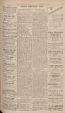 Bath Chronicle and Weekly Gazette Saturday 01 November 1924 Page 27