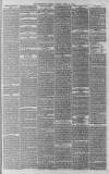 Birmingham Journal Saturday 24 March 1866 Page 3