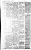 Middlesex Chronicle Saturday 19 February 1870 Page 5