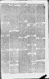 Middlesex Chronicle Saturday 22 January 1876 Page 7