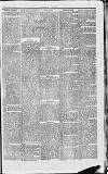 Middlesex Chronicle Saturday 19 February 1876 Page 7