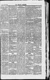 Middlesex Chronicle Saturday 18 March 1876 Page 5