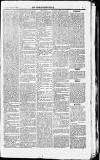Middlesex Chronicle Saturday 07 October 1876 Page 5