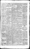 Middlesex Chronicle Saturday 10 February 1877 Page 3