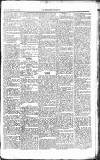 Middlesex Chronicle Saturday 10 February 1877 Page 7