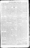 Middlesex Chronicle Saturday 11 October 1879 Page 7