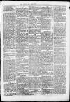 Middlesex Chronicle Saturday 09 February 1889 Page 7