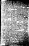 Middlesex Chronicle Saturday 31 October 1896 Page 7