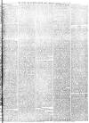 Exeter and Plymouth Gazette Tuesday 29 May 1877 Page 3