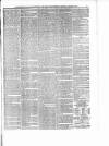 Hampshire Chronicle Saturday 15 January 1881 Page 5