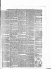 Hampshire Chronicle Saturday 22 January 1881 Page 5