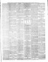 Hampshire Chronicle Saturday 23 February 1884 Page 5