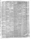 Hampshire Chronicle Saturday 05 January 1895 Page 3