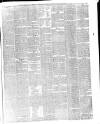 Hampshire Chronicle Saturday 25 May 1895 Page 7