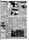 Stamford Mercury Friday 11 January 1980 Page 33