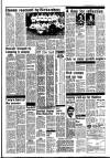 Stamford Mercury Friday 16 January 1987 Page 33
