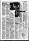 Stamford Mercury Friday 30 January 1987 Page 37