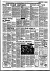Stamford Mercury Friday 08 May 1987 Page 35