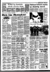 Stamford Mercury Friday 24 July 1987 Page 39