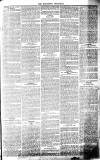 Middlesex Chronicle Saturday 26 December 1863 Page 5