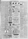 Norfolk Chronicle Saturday 06 May 1865 Page 7