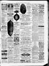 Norfolk Chronicle Saturday 31 March 1877 Page 3