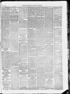 Norfolk Chronicle Saturday 06 April 1878 Page 5