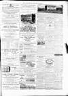 Norfolk Chronicle Saturday 12 June 1880 Page 3