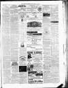 Norfolk Chronicle Saturday 12 March 1881 Page 3